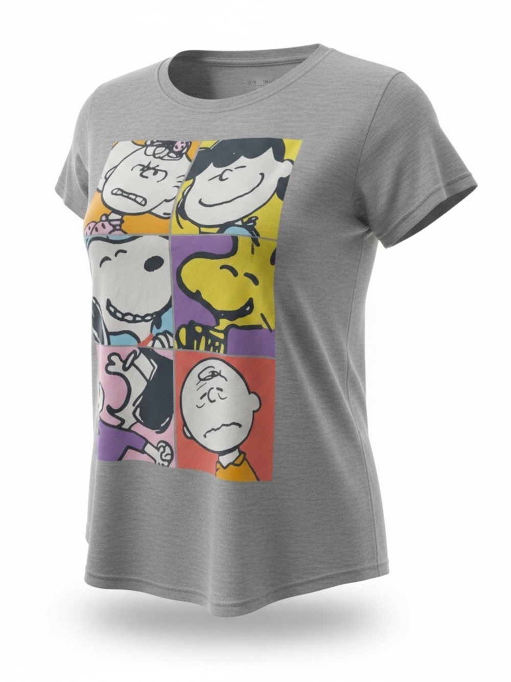 Peanuts Grey Short Sleeve Tee with Colorblock Character Panel